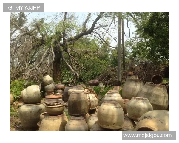 足球明星璀璨瞬间展现魅力与风采的绝美图片合集